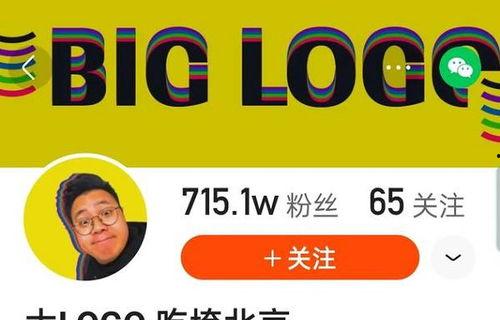 网红大logo 社会热点新闻事件及点评,热点事件背后的文化现象与反思