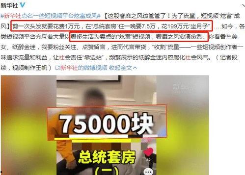 网红大logo 社会热点新闻事件及点评,热点事件背后的文化现象与反思