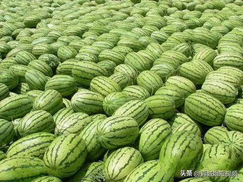 热门大瓜有哪些