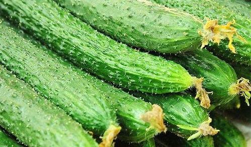 黄瓜c,揭秘黄瓜中的神秘元素