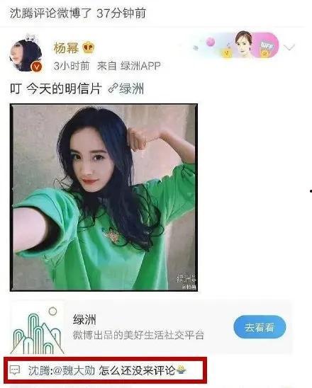 娱乐圈吃瓜汇总