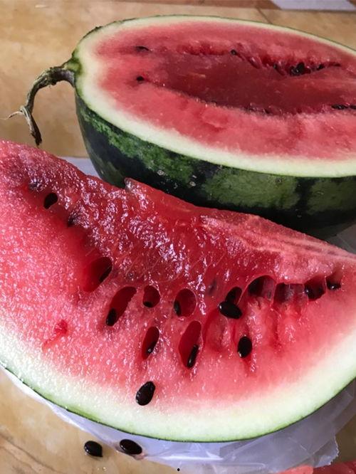 51朝阳吃瓜 52爆料吃瓜网,揭秘网络吃瓜文化的双面魅力